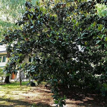 Villa Venice Mainland Priv Garden 9pax Wifi Bike